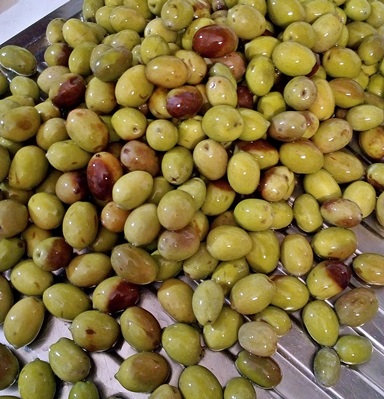 Olive farcite antipasto vegetariano vegano senza glutine